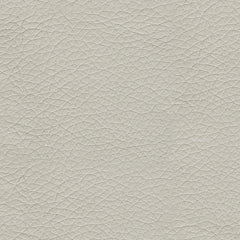 Genoa Queen Sofa Sleeper