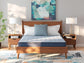 Ashley Express - Peak 2.0 Bonnell  Mattress